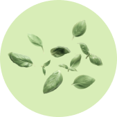 Зелёные листики